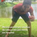 Menino picado por abelhas da cabeça aos pés morre em hospital !