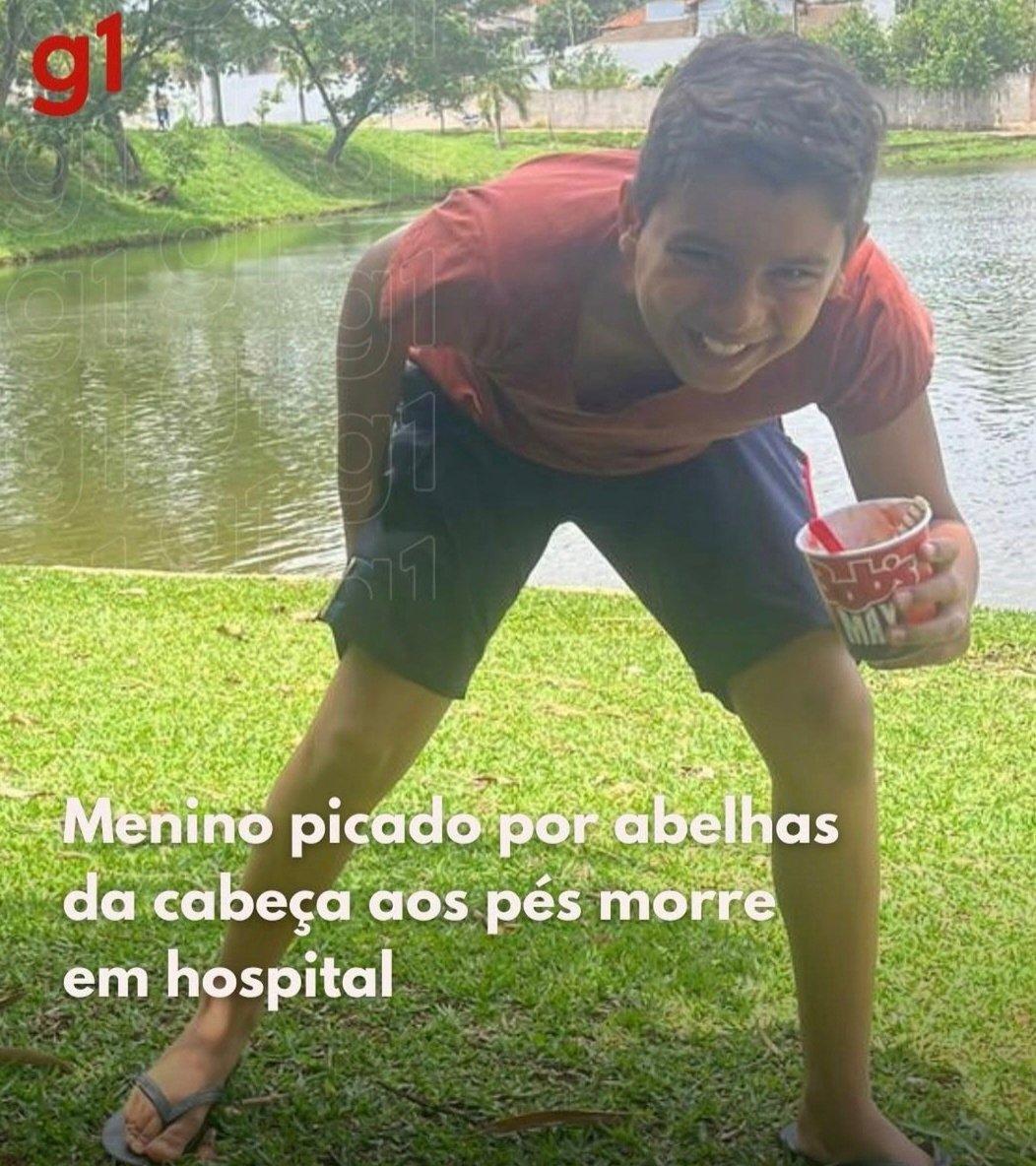 Menino picado por abelhas da cabeça aos pés morre em hospital !
