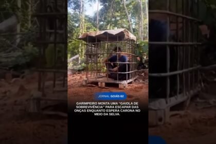 GARIMPEIRO FICA EM “GAIOLA ” PARA ESCAPAR DAS ONÇAS ENQUANTO ESPERA CARONA NO MEIO DA SELVA.