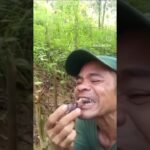 Você teria coragem de comer ?