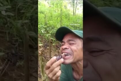 Você teria coragem de comer ?