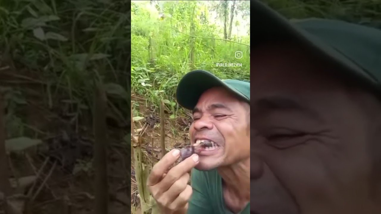 Você teria coragem de comer ?