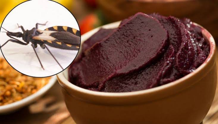 JOVEM MORRE APÓS CONSUMIR AÇAÍ CONTAMINADO COM FEZES DO INSETO TRANSMISSOR DA DOENÇA DE CHAGAS