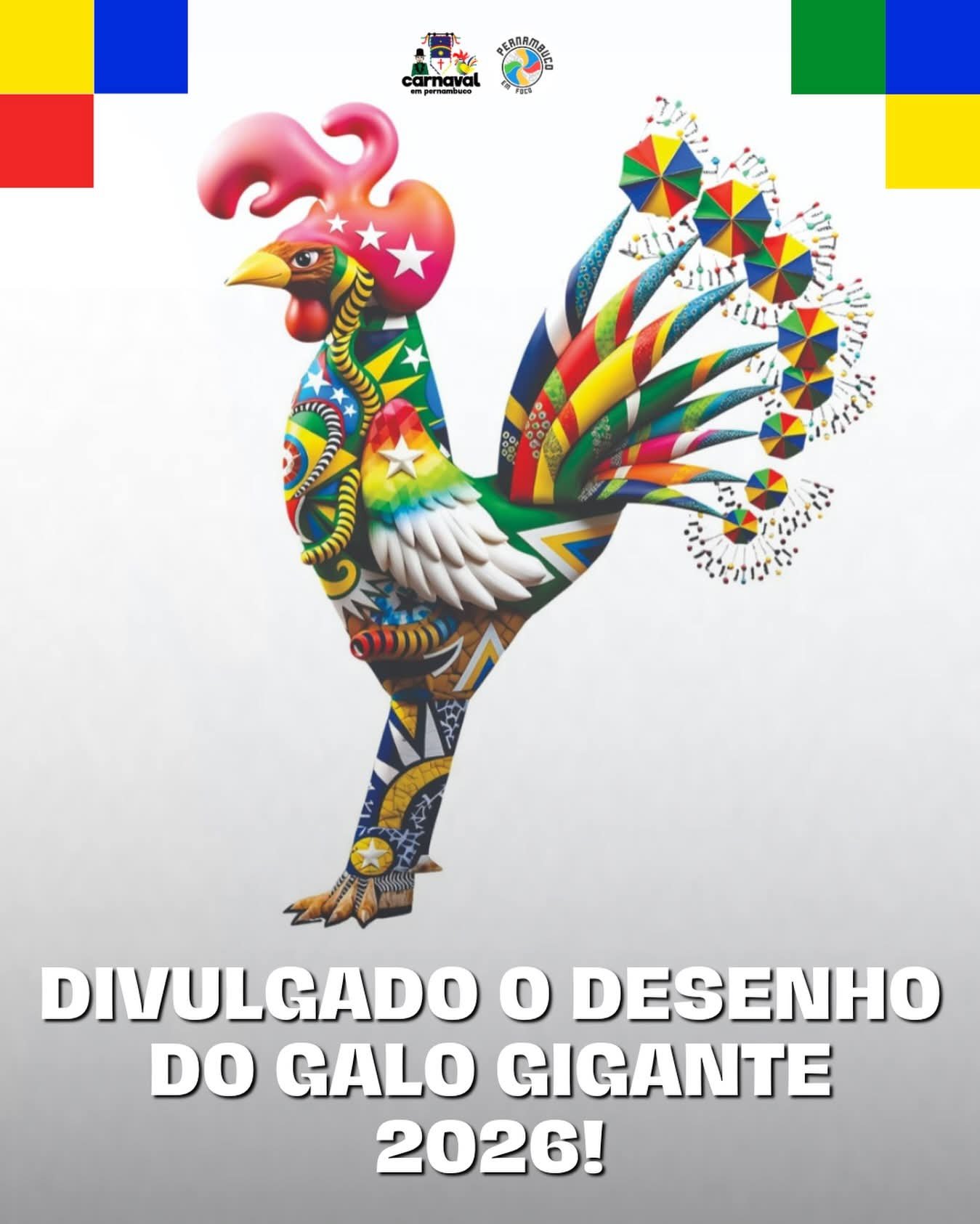 FOTO DO GALO DA MADRUGADA FOI DIVULGADO NESSA SEGUNDA-FEIRA 26/01 DE JANEIRO