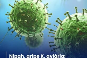 NIPAH, GRIPE K, AVIÁRIA: AS DOENÇAS NO RADAR DE INFECTOLOGISTA EM 2026 NIPAH, GRIPE K, AVIÁRIA: AS DOENÇAS NO RADAR DE INFECTOLOGISTA EM 2026